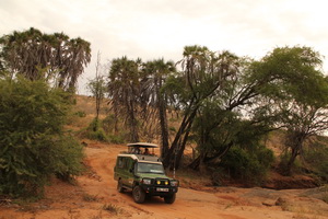 tsavo_east_1