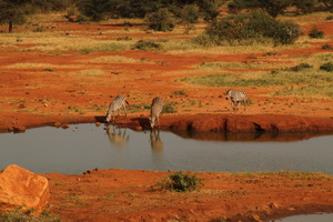 tsavo_west_2