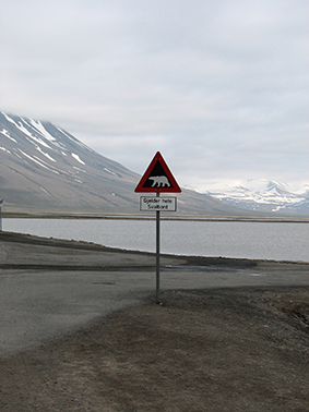 Spitsbergen_3